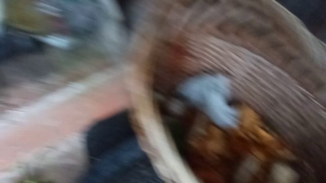 197 2021.08.21_16.06.53 Манька на даче.