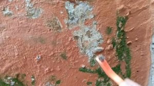 Мох атакует террасу! 🌿 Спасаем стены и пол(Мы купили дом в Португалии)