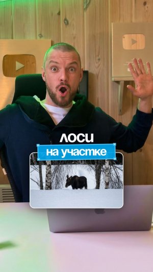 Кто приходит в гости ко мне на участок?