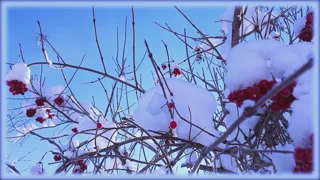 Зима не сдается и снег серебрится на солнце...