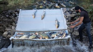 Как поймать много рыбы с помощью моей системы! Рампи рыбак.