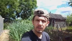 ВЫРАЩИВАНИЕ ЧЕСНОКА КАК ПРАВИЛЬНО УДАЛЯТЬ СТРЕЛКИ