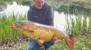 Ловля карпа в Европе