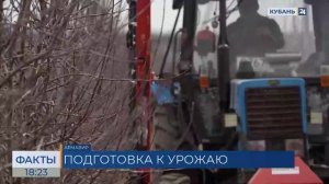 Фруктовые сады в Краснодарском крае начали готовить к цветению