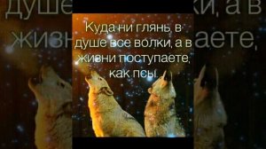 НЕ ДЛЯ ПСОВ...💥 
Душевный Шансон💣💯