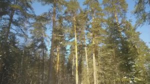 Вспоминая февраль... Пейзажи февраля.