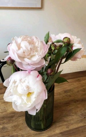 гуляем с крис 🫶🥴