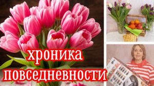 Хроники повседневности 2-8 марта 2026 года