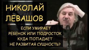 ✅ Н.Левашов: Если умирает ребенок или подросток - куда попадает его не развитая сущность?