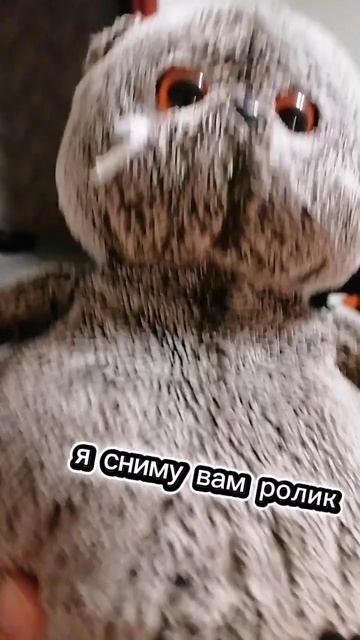 я поеду в волгу