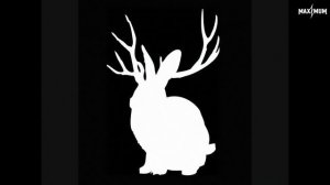 Miike Snow — Animal