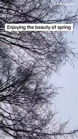 Ну, наконец-то весна!