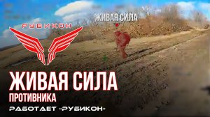 Живая сила противника. «Рубикон» продолжает вести охоту на пехоту ВСУ в зоне СВО
