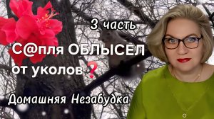 3 часть. С@пля ОБЛЫСЕЛ от уколов❓️