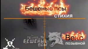 песня Стихия Бешеные псы от Baba Yaga Phenom