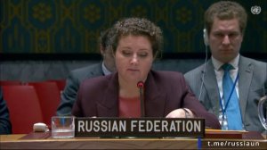 А.М.Евстигнеева на Совета Безопасности ООН по сирийскому «химическому досье», Нью-Йорк 10 марта 2026
