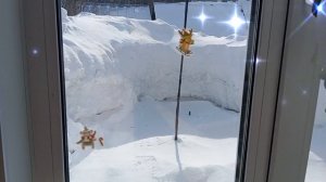 Приготовила борщ 🎆