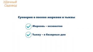 Дачные приметы