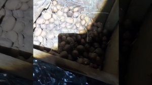 💢💢💢💢💢ЛЕЗИМ В ПОГРЕБ💢💢💢💢💢🙉