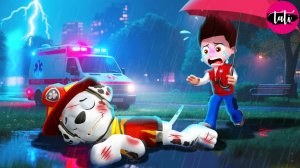 Щенячий патруль и Маршалл. Залипательное видео. Мультфильм для детей и малышей. Анимация 360