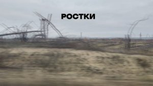 РОСТКИ