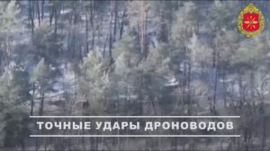 Боевая работа войск БПС в зоне СВО