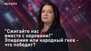 "Мы в курсе": "Сжигайте нас вместе с коровами!" Эпидемия или народный гнев - что победит?