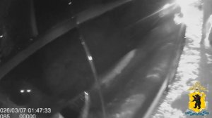 В Ярославской области задержана нетрезвая леди, протаранившая авто ДПС в попытке скрыться от погони