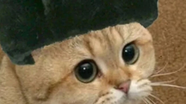 Standoff 2 катка дуэль 2х2 видео номер (15)