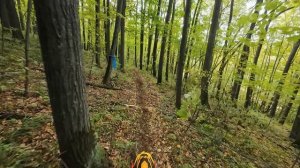 В поисках нефти первый круг