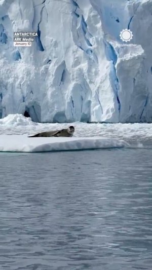 Извините, ошиблись дверью