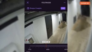 ЖК «Дуэт» часто топит канализацией