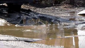 Зловонное Затверечье - местные жители бьют тревогу