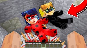 ЛЕДИ БАГ И СУПЕР КОТ ПОПАЛИСЬ В ТРОЛЛИНГ ЛОВУШКУ В МАЙНКРАФТЕ