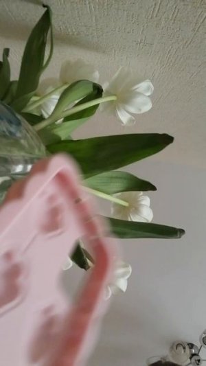 Обзор