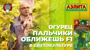 Огурец ПАЛЬЧИКИ ОБЛИЖЕШЬ F1 в СВЕТОКУЛЬТУРЕ