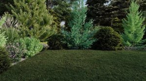 Ландшафтный проект «Дыхание весны» - итоговый вариант