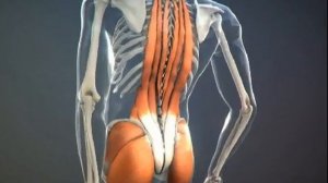 Боль в пояснице при пяточной шпоре