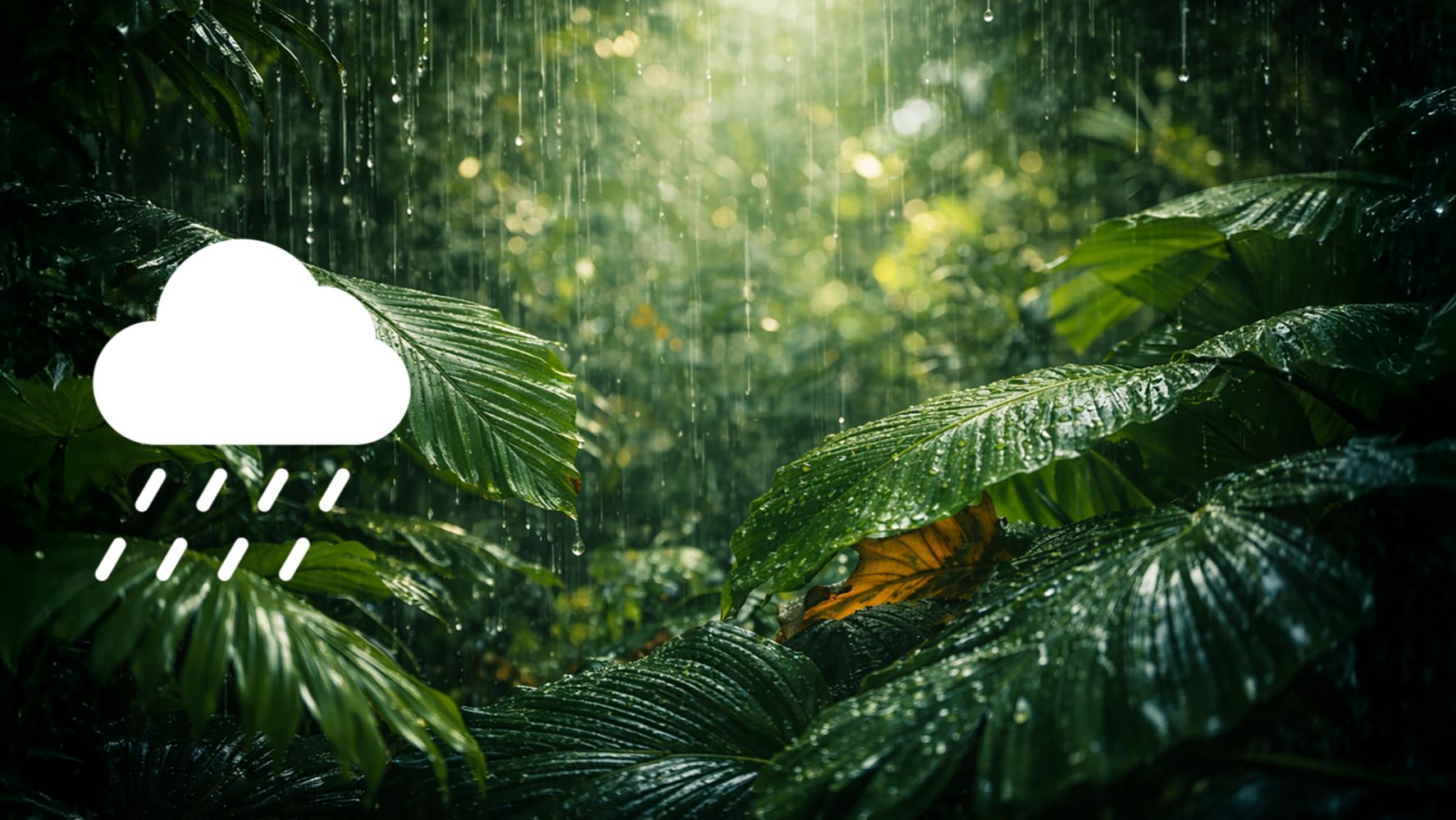 Звук тропического дождя 10 часов 🌴 Ливень в джунглях для сна и глубокого расслабления