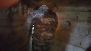 В Адыгею на выходные.mp4