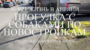 Прогулка с собаками по улицам с новостройками. № 921 Жизнь в Англии