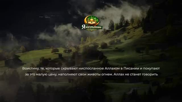 Красивое чтение Суры Аль-Бакара | Слушайте каждый день — изгоняет шайтанов и приносит благословение