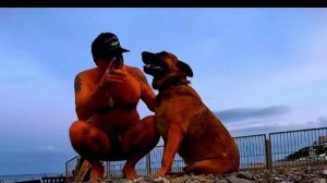 ПЕСНЯ ПРО ЖИЗНЬ ЯЛТЕ