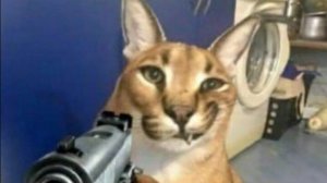 Я когда понял что пердак мастера Руслана отвалился