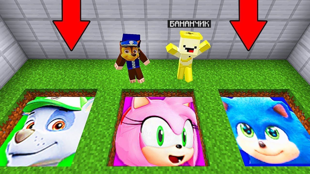 ВЫБЕРИ ПРАВИЛЬНЫЙ ПОРТАЛ СОНИКА , ЭМИ РОУЗ , РОКИ В МАЙНКРАФТЕ