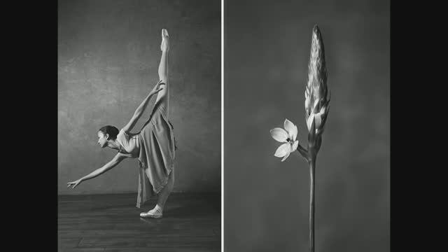 Юлия Артемьева  фотопроект «Цветы и Балерины»