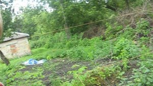 секретный дом