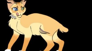 великая троица в телах котов воителей