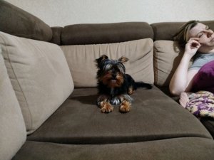 разказ про деню