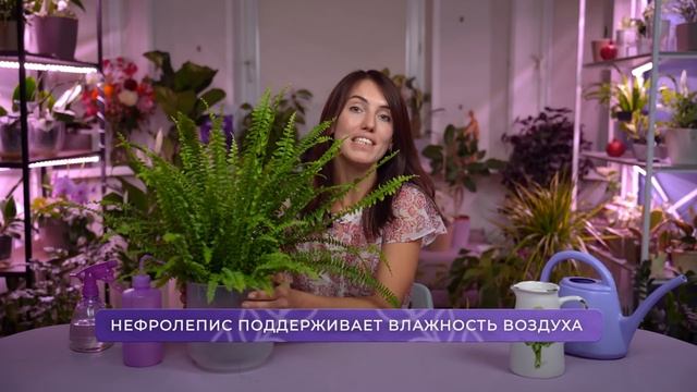 Вам СРОЧНО НУЖНО завести ЭТИ растения! Красивые и ПОЛЕЗНЫЕ комнатные растения для дома!